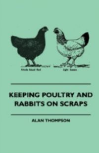 Keeping Poultry And Rabbits On Scraps