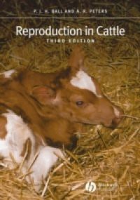 Reproduction in Cattle