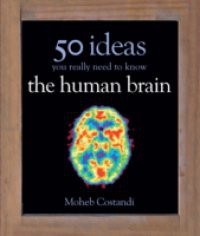 50 Human Brain Ideas You Really Need to Know