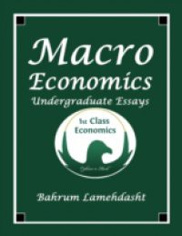 Macroeconomics Undergraduate Essays