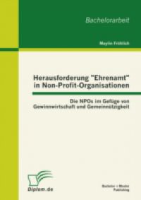 Herausforderung "Ehrenamt" in Non-Profit-Organisationen: Die NPOs im Gefuge von Gewinnwirtschaft und Gemeinnutzigkeit