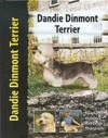 Dandie Dinmont Terrier