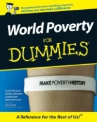 World Poverty for Dummies