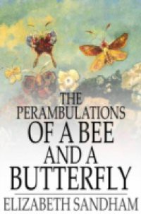 Perambulations of a Bee and a Butterfly