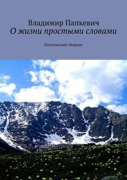 О жизни простыми словами