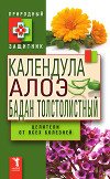 Календула, алоэ и бадан толстолистный – целители от всех болезней