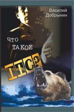 Что такое ППС? (СИ)