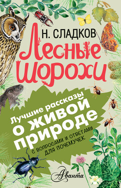 Лесные шорохи. С вопросами и ответами для почемучек