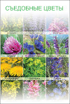 Съедобные цветы (СИ)