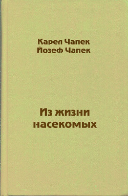 Из жизни насекомых