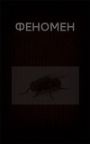 Феномен (СИ)