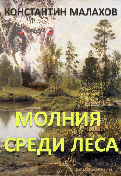 Молния среди леса (СИ)