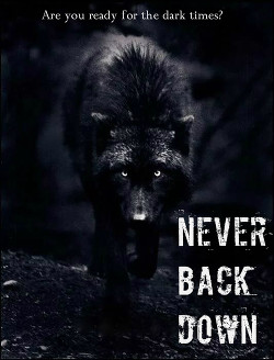 Never Back Down (СИ)
