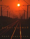 Дорога домой (СИ)