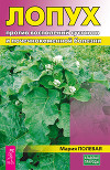 Лопух против воспалений суставов и почечнокаменной болезни