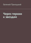 Через тернии к звездам (СИ)