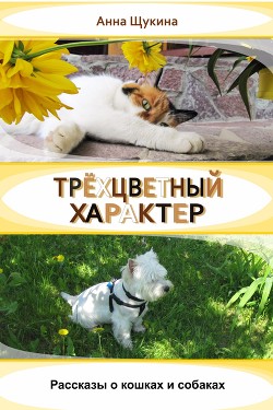 Трёхцветный характер