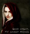 Доброй ночи, мой прекрасный принц (ЛП)