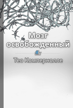 Мозг освобожденный. Как предотвратить перегрузки и использовать свой потенциал на полную мощь