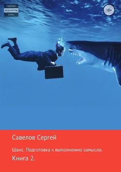 Шанс. Подготовка к исполнению замысла. Книга 2