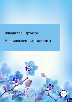 Мир удивительных животных