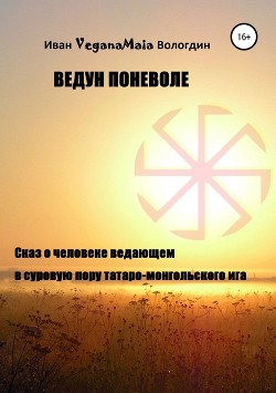 Война орденов. Время Орды