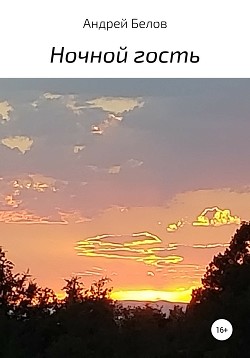 Ночной гость