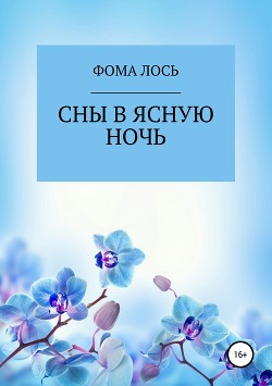 Сны в ясную ночь