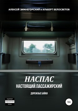 НАСПАС. Настоящий пассажирский. Дорожные байки