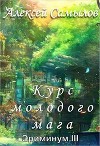 Курс молодого мага (СИ)