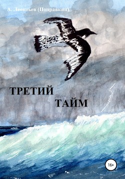 Третий тайм