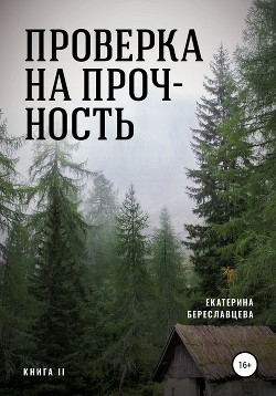 Проверка на прочность