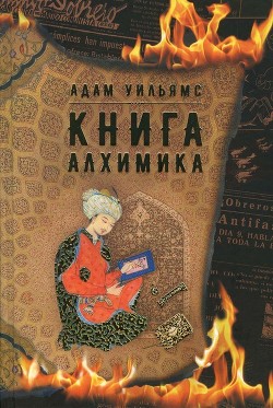 Книга алхимика<br/>(Роман)