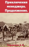 Приключения менеджера. Продолжение (СИ)