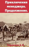 Приключения менеджера. Продолжение (СИ)