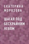 Шагая под бескрайним небом