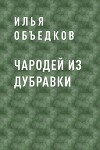 Чародей из Дубравки