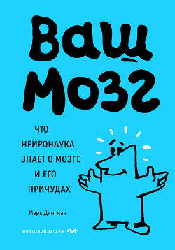 Ваш мозг. Что нейронаука знает о мозге и его причудах