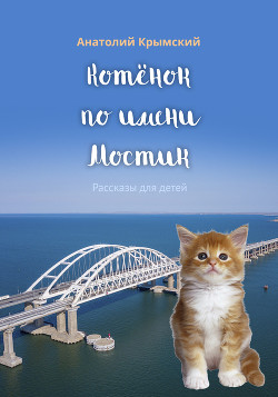 Котенок по имени Мостик