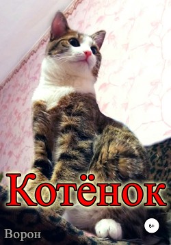 Котёнок