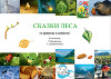 Сказки леса (о природе и доброте)