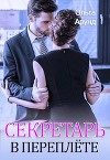 Секретарь в переплёте (СИ)