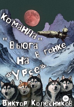 Команда «Вьюга» в гонке на «Урсе»