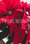 Торговец цветами (СИ)