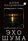 Эхо шума
