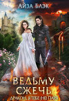 Ведьму сжечь, или Дракон, я тебе (не) пара (СИ)