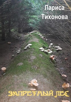 Запретный лес