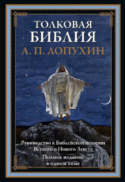 Толковая Библия. Руководство к библейской истории Ветхого и Нового Завета (с иллюстрациями)