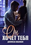 Он хочет тебя (СИ)