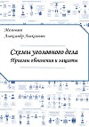 Схемы уголовного дела. Приёмы обвинения и защиты